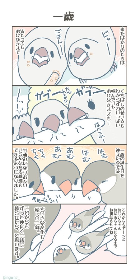 一歳 毎回 おひなさまの成長には 心があたたかくなります Buncho 文 新木南生の漫画