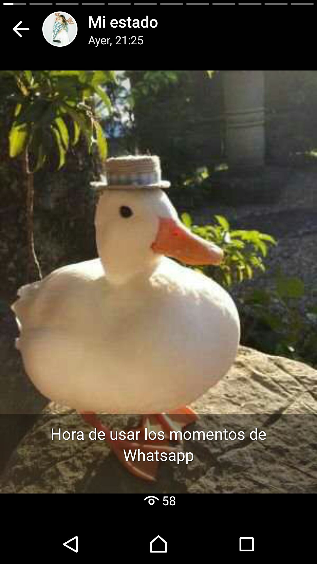 View image on Twitter