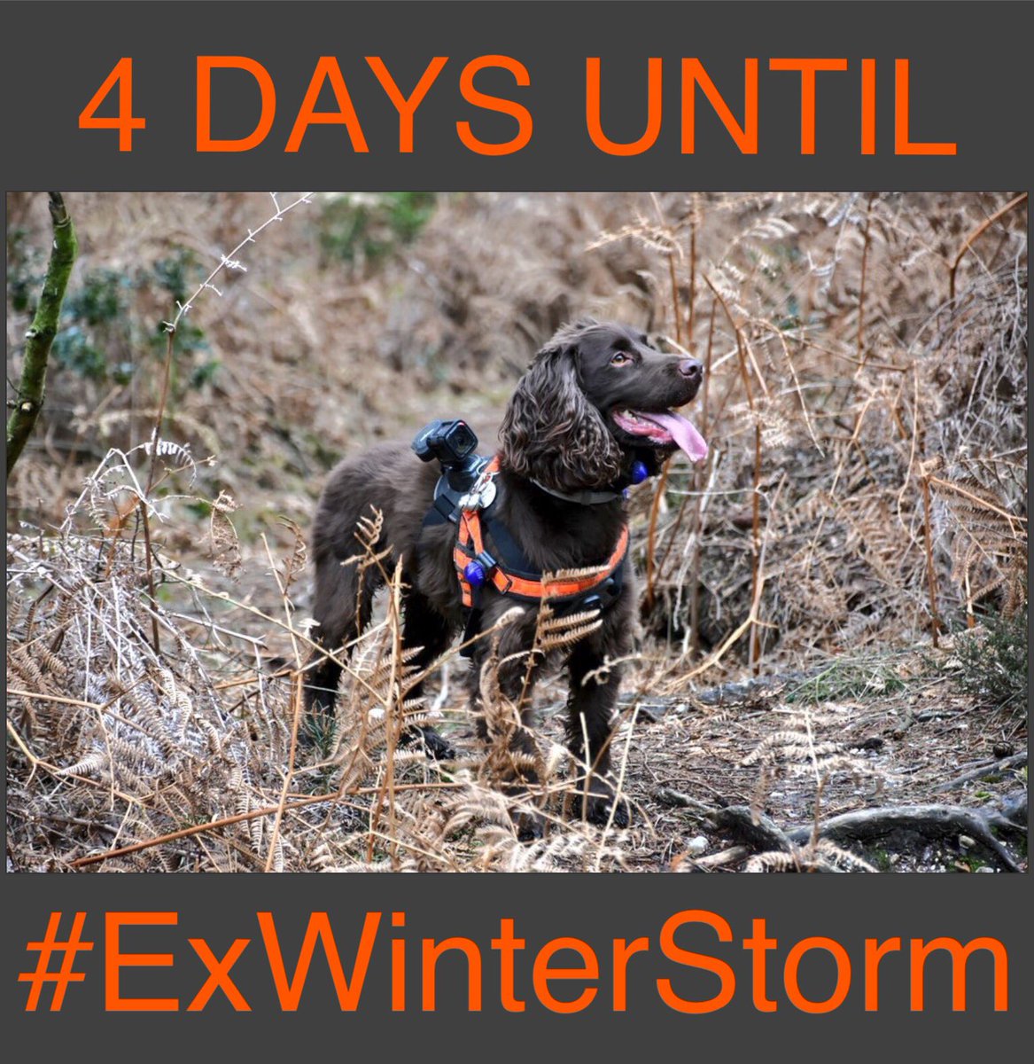 The_Bentley_Dog's tweet photo. It's getting closer 4 DAYS to go #ExWinterChill πΎ @HSARDogs @HANTSAR @HantsSpecials @LowlandRescue #SAR https://t.co/NuB5usrfin