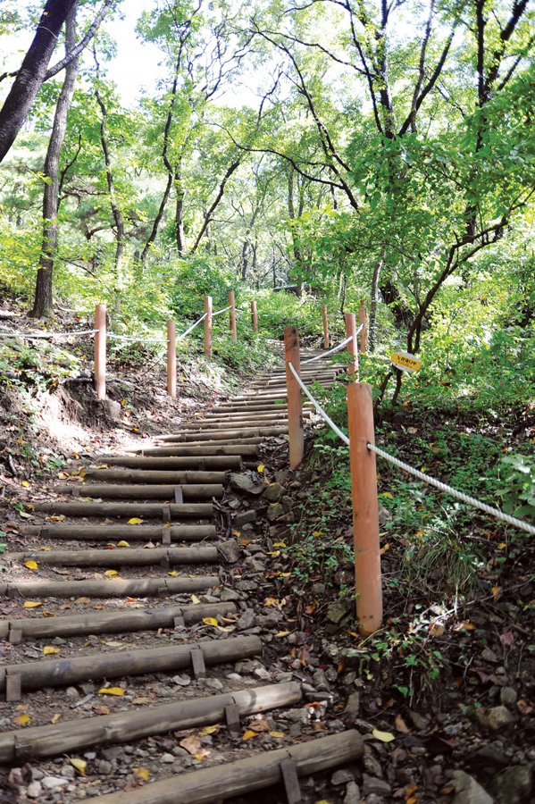 #성남시 "남한산성 등산로" 위기의 순간에도 역사를 이어온 문화유산 입니다. 잘 정비해놓았으니 가족과 함께 와 보세요 ^^*