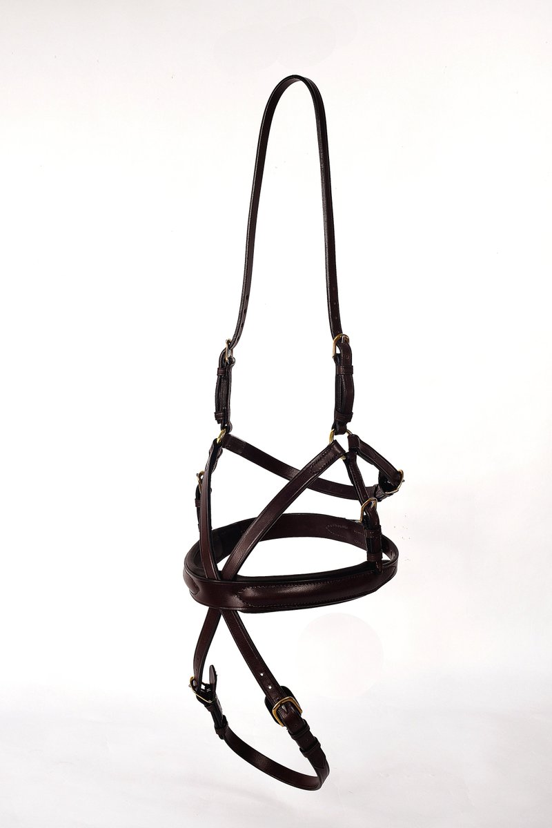 socialtailsmktg's tweet image. Not such an ugly bug – new Beetle Grackle from @KateNegus Saddlery hay-net.co.uk/latest/10235/n… @RheaFreeman #equestrian #horse 😍🐴