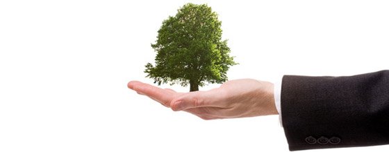 RenaudTraiteur's tweet photo. En cours de certification ISO 20121 (Dév. Durable), nous avons créé une page dédiée à nos engagements responsables : https://t.co/R1DfwZS9vN https://t.co/KgUzIiU7LW