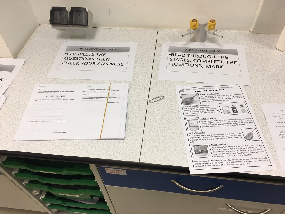 lindsaywilgrove's tweet photo. YR10 revision for genes test @JESSScienceDept #JESSRevision #JESSBfL #JESSIndependent #JESSProgress #JESSQuestioning https://t.co/DUixKbbzgp
