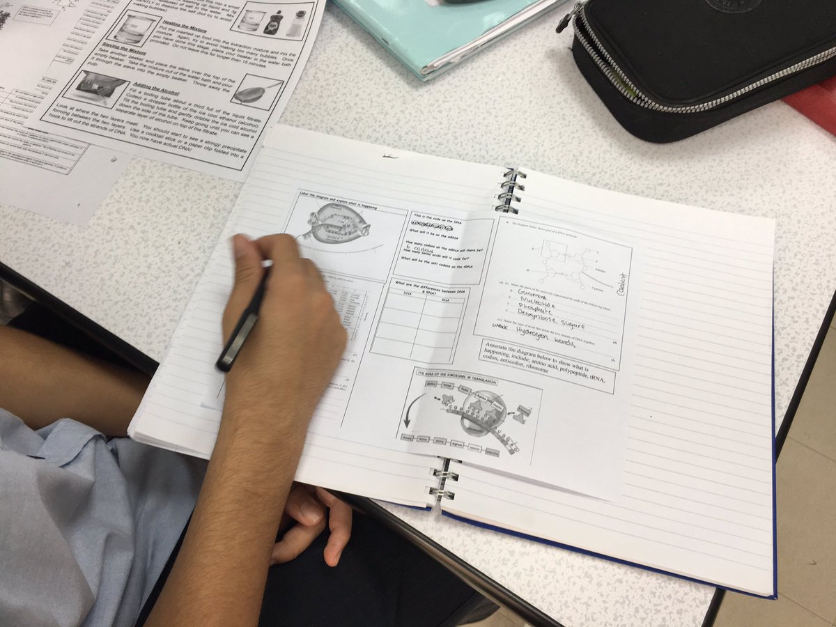 lindsaywilgrove's tweet photo. YR10 revision for genes test @JESSScienceDept #JESSRevision #JESSBfL #JESSIndependent #JESSProgress #JESSQuestioning https://t.co/DUixKbbzgp