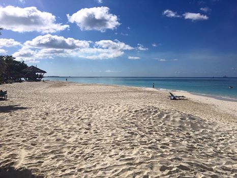 Bon dia vom #OneHappyIsland. Ein Platz an der ☀️ wartet auf euch! 
#Aruba 
<a href="/DiviTamarijnLA/">Divi&Tamarijn Aruba</a>