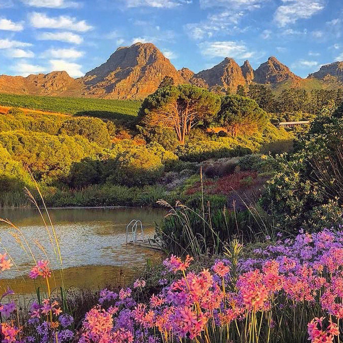 HVWines's tweet photo. A breathtakingly beautiful image of our #hiddenvalley captured and shared on @instagram! Follow @HVWines to share your unique experiences! https://t.co/oZUVEEI9Wv