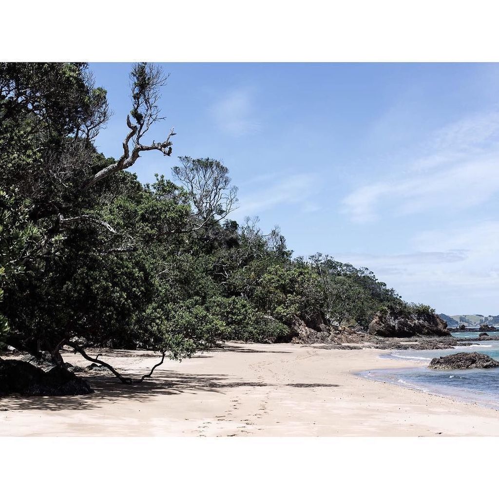 Fox and Favour tweet media