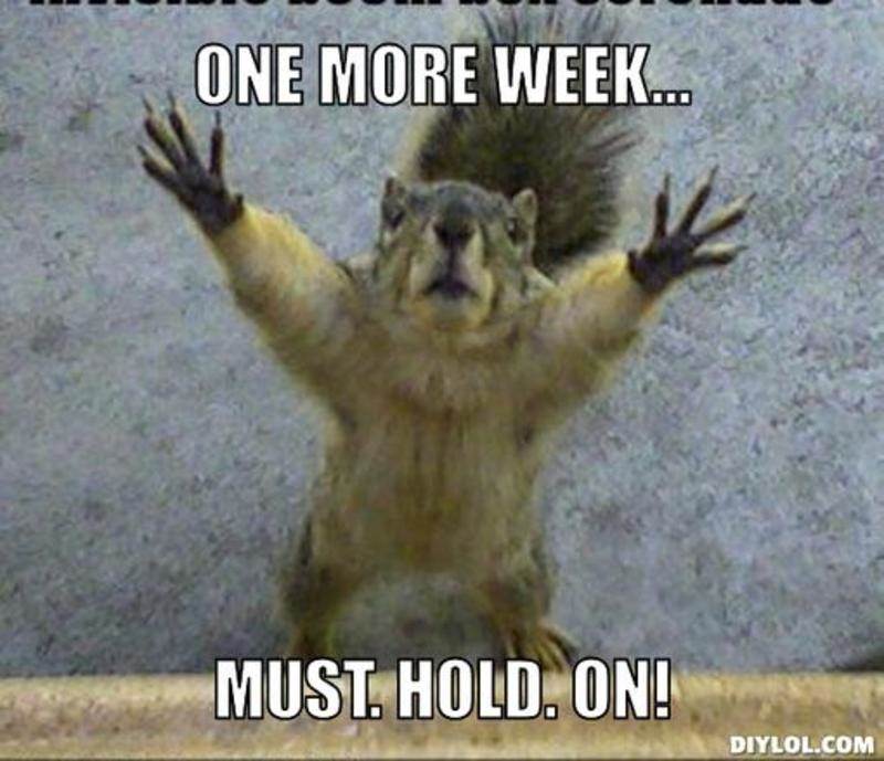 riversidecp's tweet photo. It's nearly opening time! #HolidayHomes #Staycation #HolidayatHome https://t.co/5mv27EhX4m