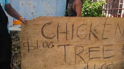 silinusi's tweet photo. $1 "Chicken Trees". Only in Tonga 🇹🇴😂😂 https://t.co/5Nsjl5BC9O
