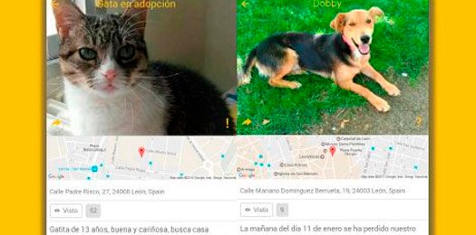 MAPFRE_ES's tweet photo. ¿Has visto un animal solo en tu barrio? Esta app colaborativa ayuda a encontrar #mascotas perdidas https://t.co/icdiqMEzaJ @WizapetApp https://t.co/ZDqoEGxLxp