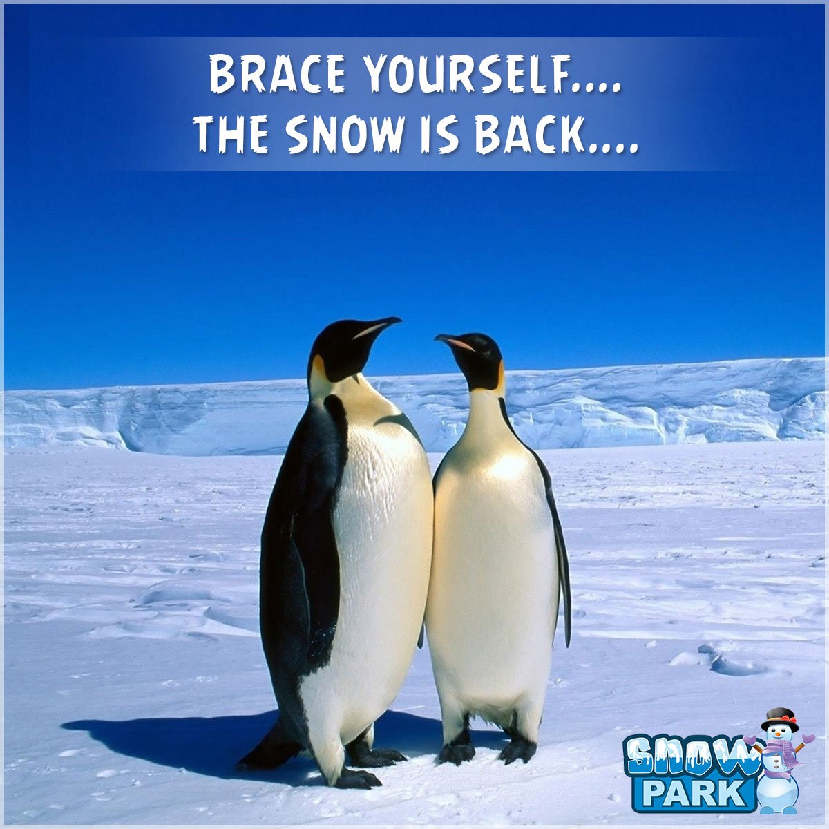 snowparkkolkata's tweet image. Don't miss out this amusing snow fun for you and the family this week! #SwissSledge #TubeSlides #SnowBlasters and much more under one roof