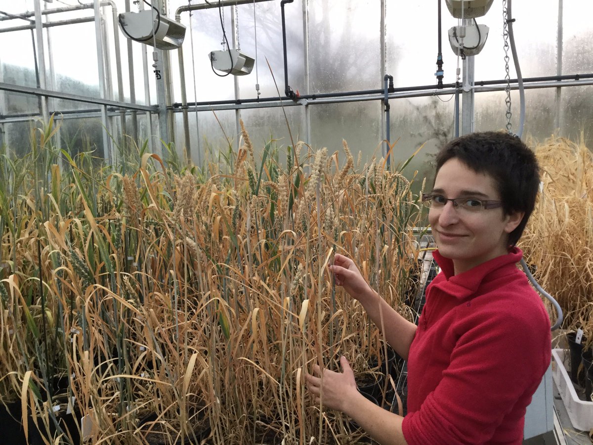 _Rosemount's tweet photo. #Auranta uses a novel #biostimulant to evaluate the effects on #plantresistance against #biotic and #abiotic stresses and its mode of action https://t.co/Qk9xG1tiUt