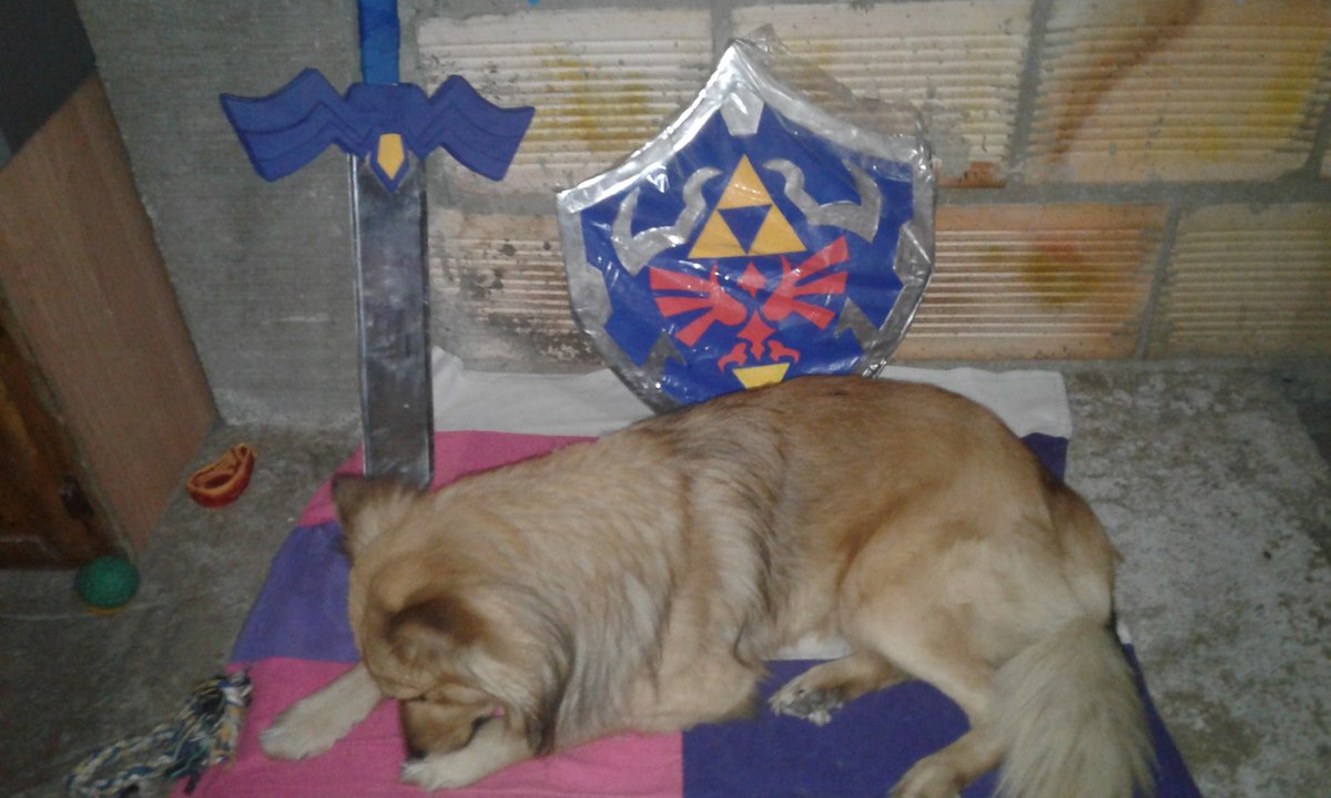 guitarluis_g's tweet photo. #NintendoPets https://t.co/zVXnv8wFQF