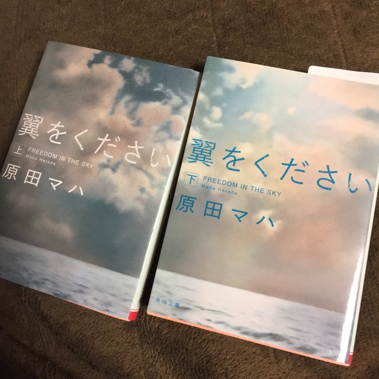 清水晴木 V Twitter 翼をください 面白かった やっぱ原田マハさんの小説って良いなあ 元気になるというか 希望が湧くというか エイミー イーグルウィングは朝ドラの主人公でいいんじゃないですかね ほんと素敵 かっこいい女性 翼をください 世界はひとつ