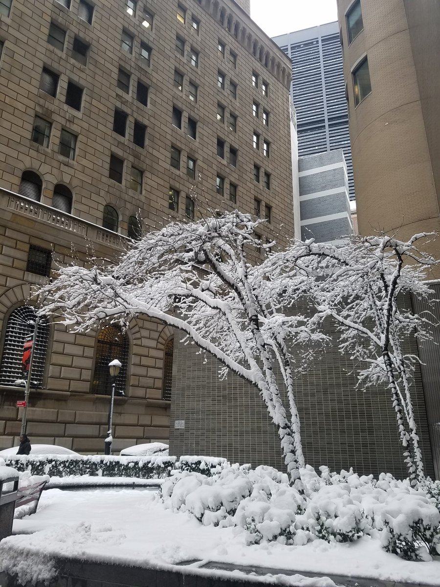 exploridea's tweet image. I get chills passing Federal Reserve building on the snowy day. Interesting place.