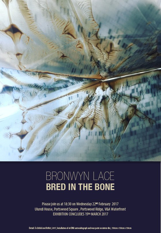 Everard Read CT (@everardreadct) on Twitter photo Opening tonight at 6.30 pm at CIRCA Cape Town, Bronwyn Lace - Bred in the Bone. Please join us. Opening tonight at 6.30 pm at CIRCA Cape Town, Bronwyn Lace - Bred in the Bone. Please join us.