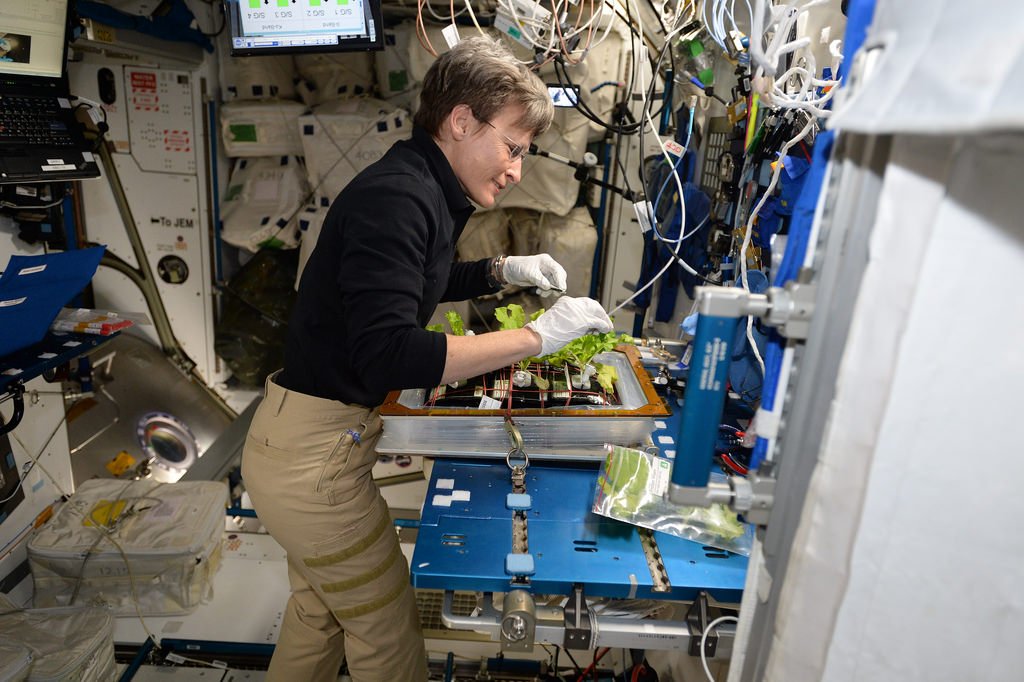Какую работу выполняют в космосе. Растения на МКС. Исследования на МКС. Космонавт исследователь. Эксперименты в космосе.