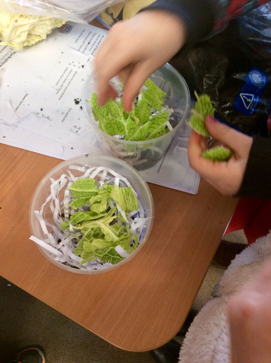 FileyLibrary's tweet image. Great North Yorkshire Rotters wormer and recycling event at @FileyLibrary this afternoon