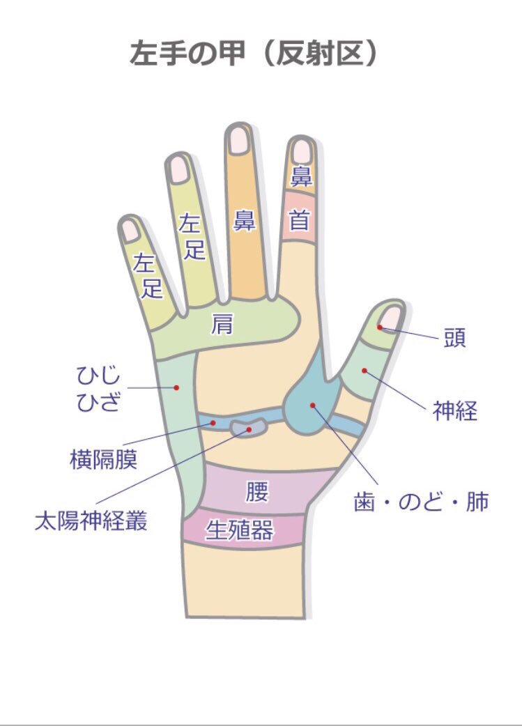 nearly_equaler's tweet photo. 体調イマイチマンなのでツボ一覧をメモ代わりにツイート https://t.co/7O9PGU1zVB