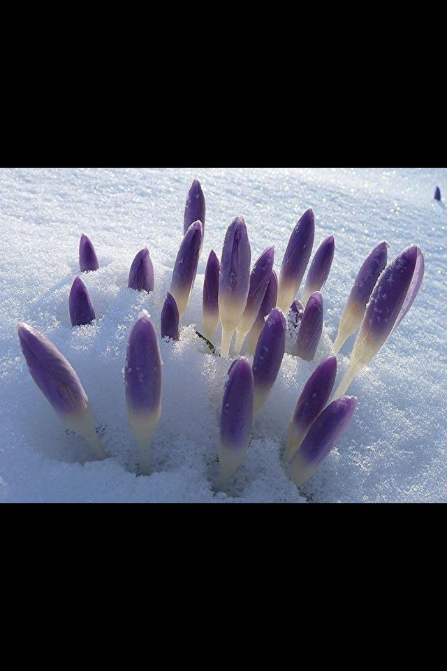 nico_gaia's tweet image. Nice afternoon wedensday all💕