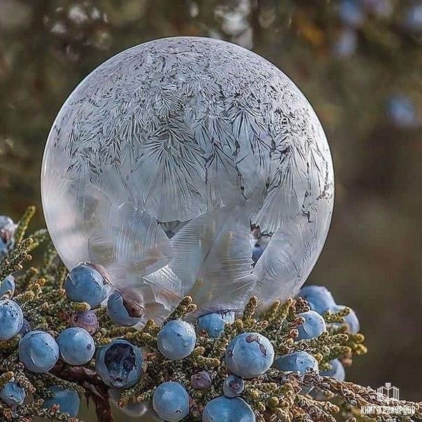 ToolsRu's tweet image. Frozen soap bubbles - Мыльный пузырь замерз. Производи и создавай с нами giga-tools.ru Create with us