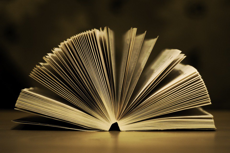 RevistaCode's tweet photo. Un viral para los amantes de los libros.
Cadenas que merecen la pena.
Por favor RT. #WeLoveBooks 
https://t.co/bxwz9VdxVT https://t.co/RVECewrpDu