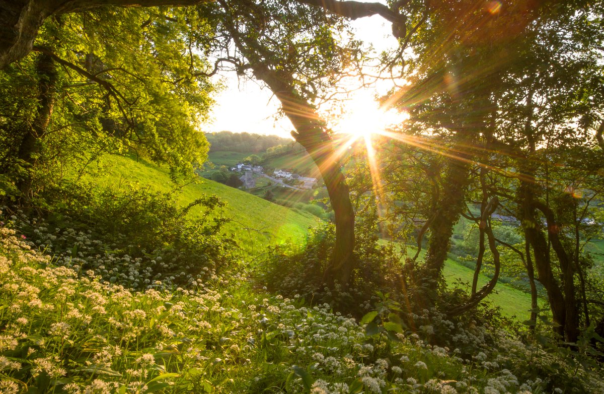 PittFmCottages's tweet photo. Branscombe in the sun. Please check out new website for holiday ideas. https://t.co/kY5m4Kk9ND #dogfriendly #familyfriendly #Devon https://t.co/sghW6nrG40