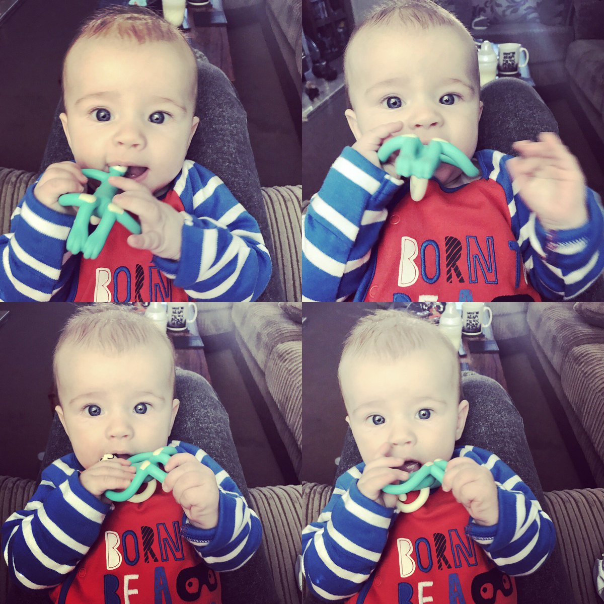 lanrycka's tweet photo. Elliot loves his monkey teether @weareKIDLY https://t.co/is5JbQSIbb