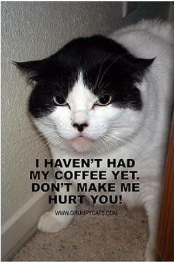 DianaTurner13's tweet image. #liquid patience #stillgrumpy #doitsmagic