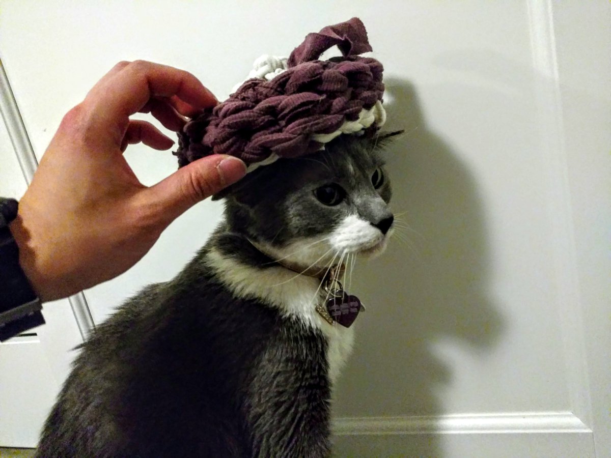 tteoh's tweet photo. A crocheted hat for Crotchet the #cat, after learning how to #crochet this evening at #ResBaz #resbazmelb #resbazcrochet https://t.co/Jf4rM7aLj7
