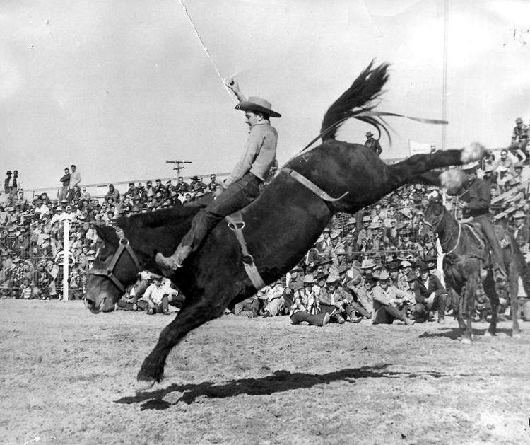 therodeotrail's tweet image. Casey Tibbs on Bomber 
Yuma, AZ
1950
📸 - DeVere Helfrich.
#WesternWednesday #RodeoChat