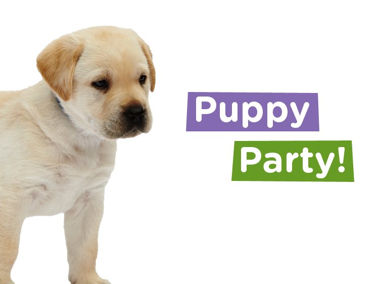 canine_partners's tweet photo. #MidhurstHour We are hosting a Puppy Party in Heyshott tomorrow - chance to meet puppies + find out what we do https://t.co/7AzdjF2cST https://t.co/LgHNmNZK1T