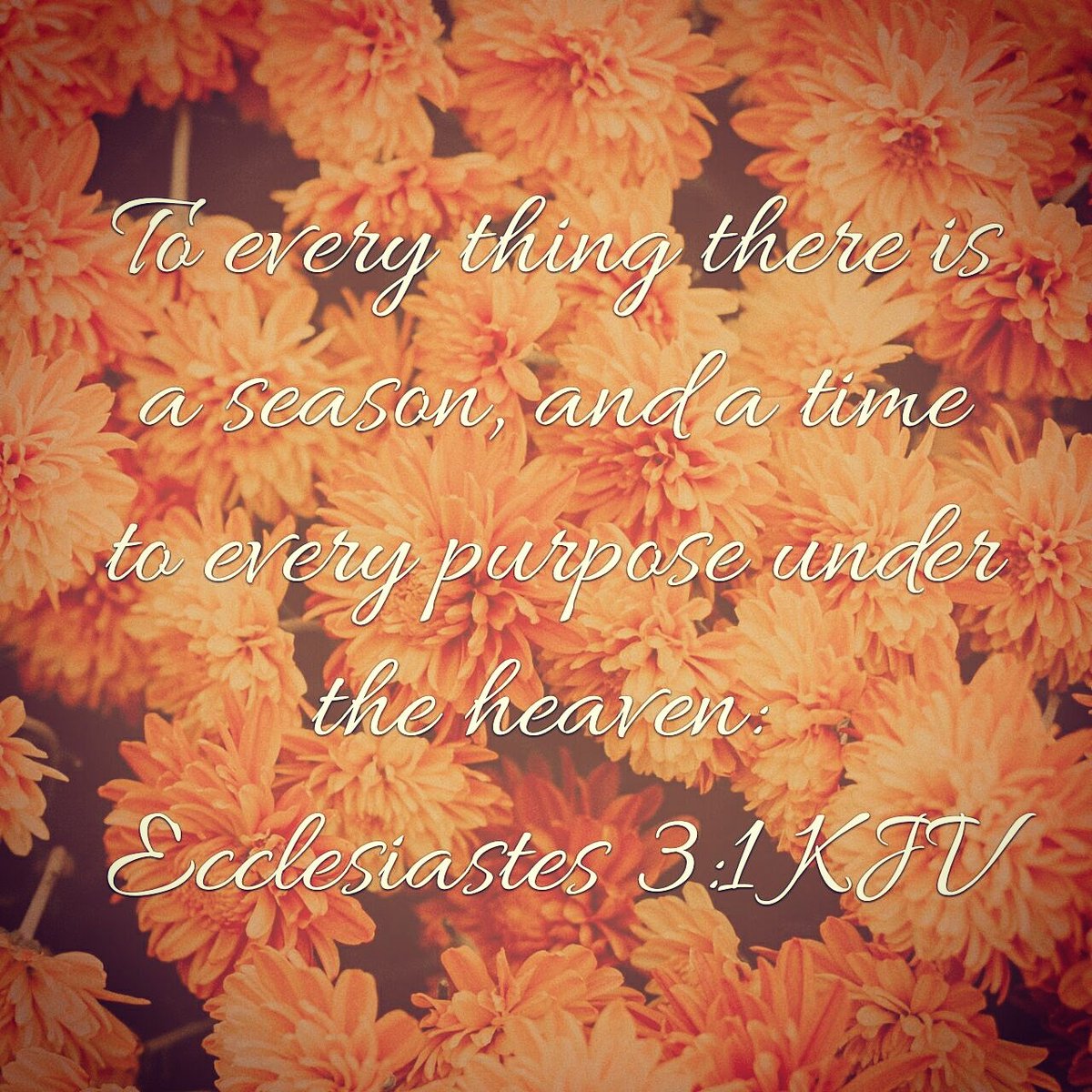 mochapearl12's tweet image. #pearlfectthoughts #pearlfectreflections #positivemindset #scripture #wisdom