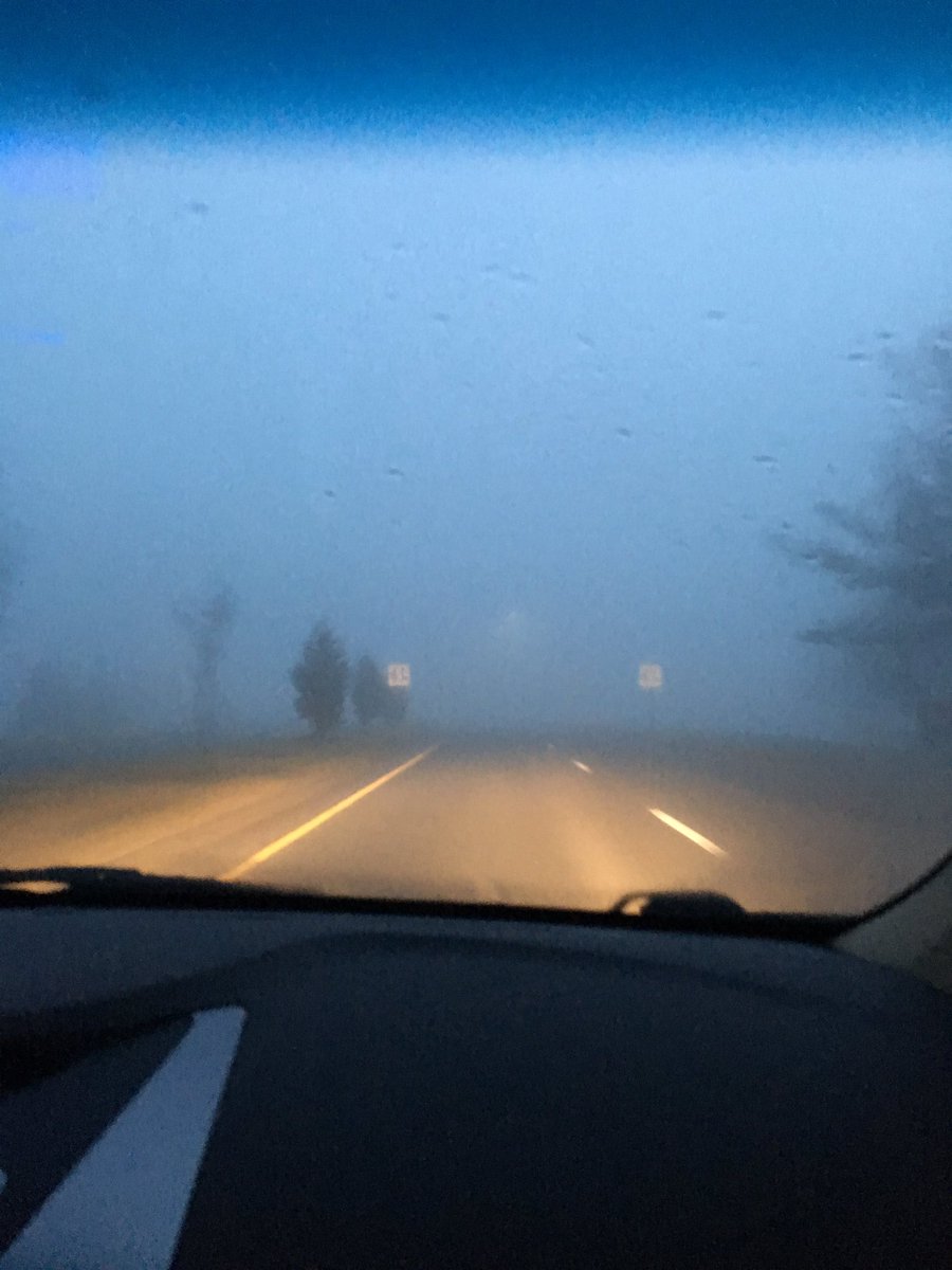 _annaspringer's tweet photo. thank you @chsinfo for not giving us a two hour delay when my brother and i can barely see 200 feet in front of us https://t.co/iGd1MwIh5w