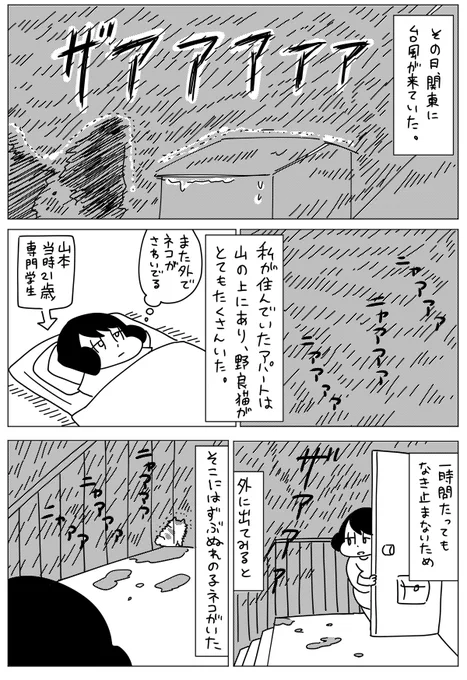 2月28日に発売する書籍紹介①「山本さんちのねこの話」
ひまつぶしまんがを全て書き直し＆50ページ以上のストーリー漫画を書き下ろしました。ねこ苦手だった私がトルコを拾い、苦労した話です。(文字部分写植になり読みやすくなります)… 