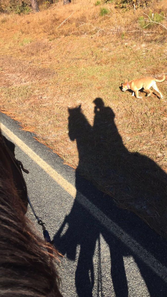 LFT11's tweet photo. Get you a dog that can do both https://t.co/9MK9H9AB3q