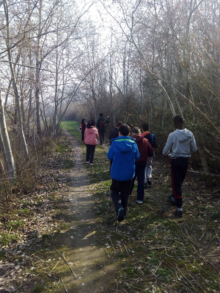 escuelaspiaszgz's tweet photo. Aprendiendo de cerca #naturaleza #Primaria #Galacho @ZgzEducacion #molaaprender #calasanz400 https://t.co/RtyPxxt7jY