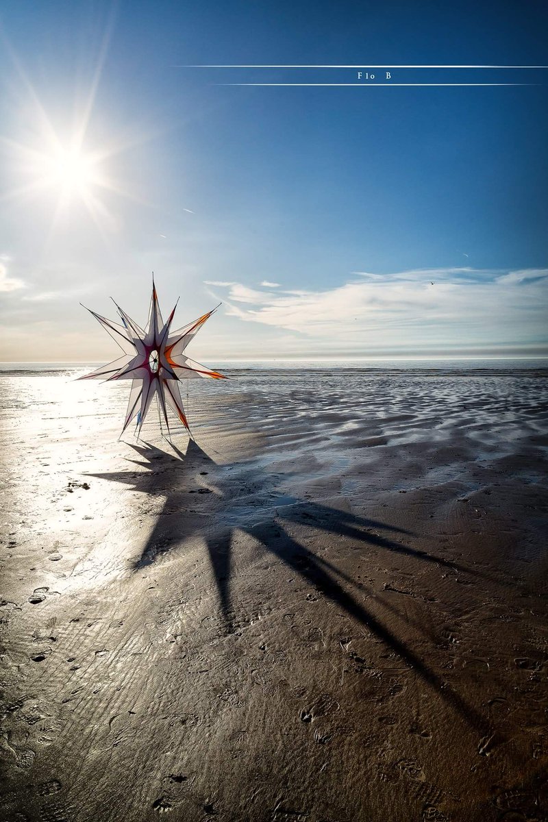 Bigand Florian tweet media