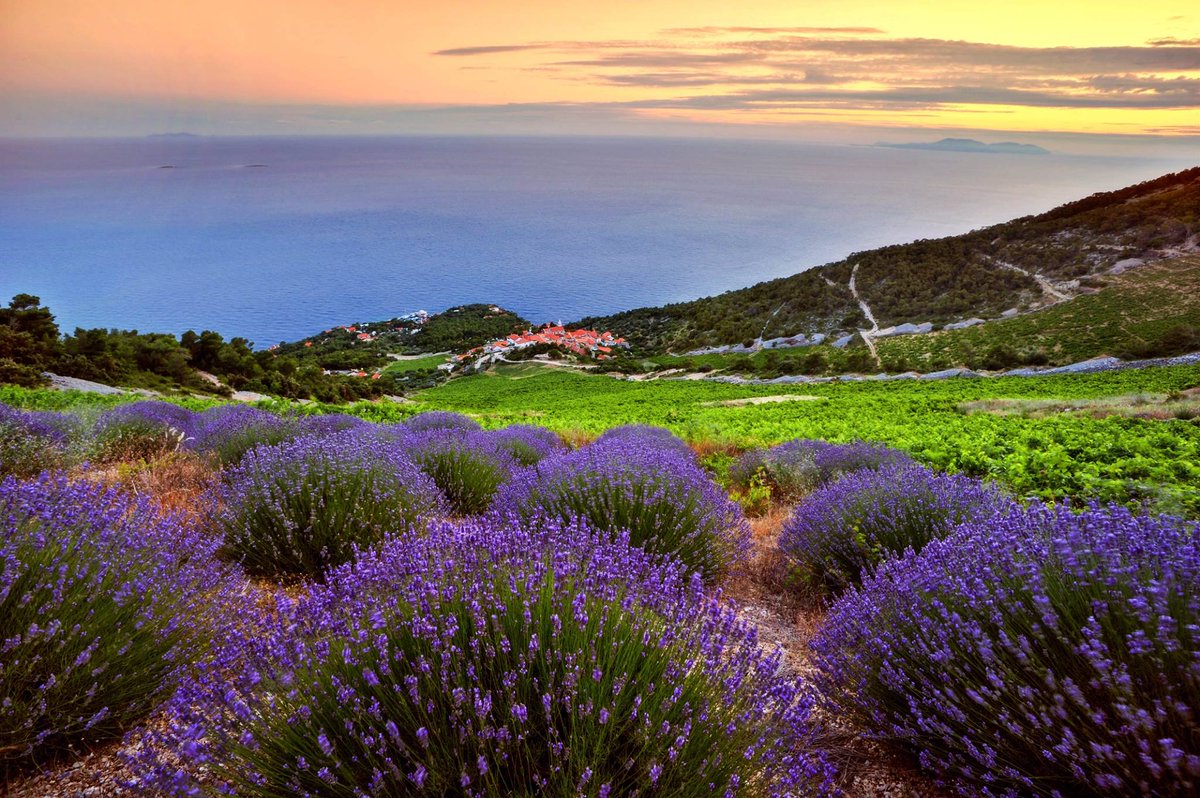 Wonderful colors of #Hvar
dalmatiariviera.com/city/hvar/