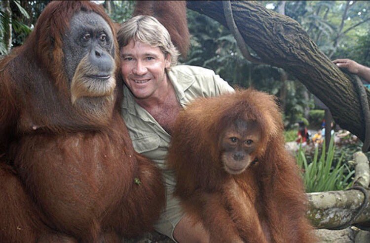 Happy Birthday Steve Irwin, you made my childhood better with every animal you saved and show you did. 