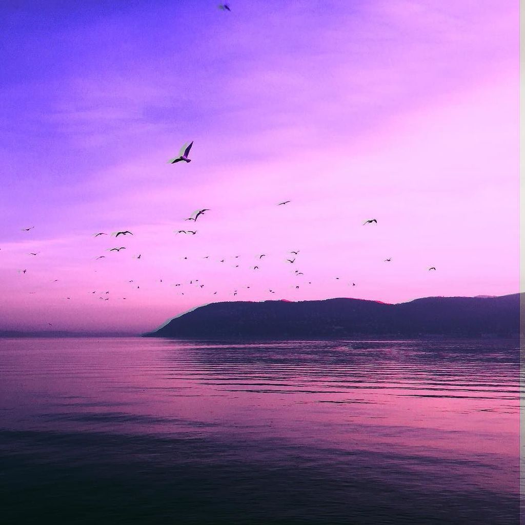Fimbrethils's tweet photo. No bird soars too high if he soars with his own wings. William Blake
#Hipstamatic #Burke #Zama
.
.
#mobile_phoneogr… https://t.co/rOQkh8GDYa