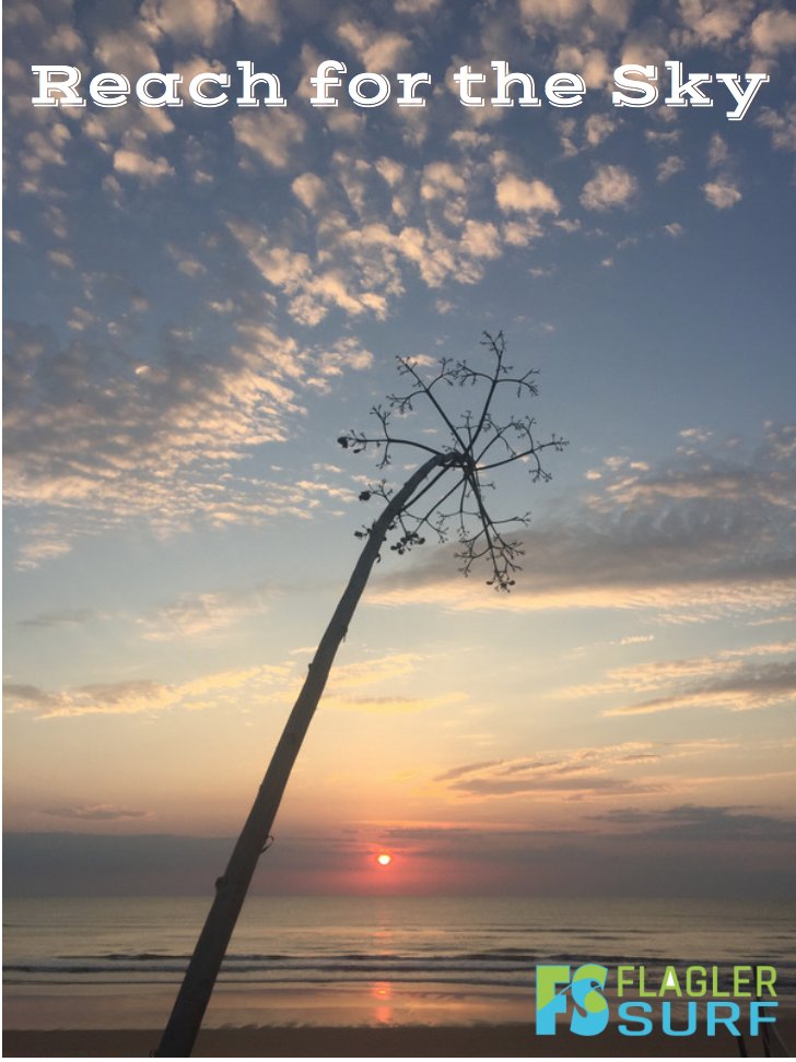 Wednesday Tide Report
Low 11:03 AM
High 4:55 PM 
Sunset 6:18 PM 
WATER TEMP: 65-69° F