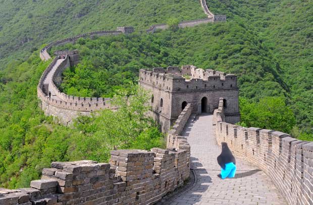 BirdsThoCo's tweet image. ᵍʳᵉᵉᵗᶦᶰᵍˢ