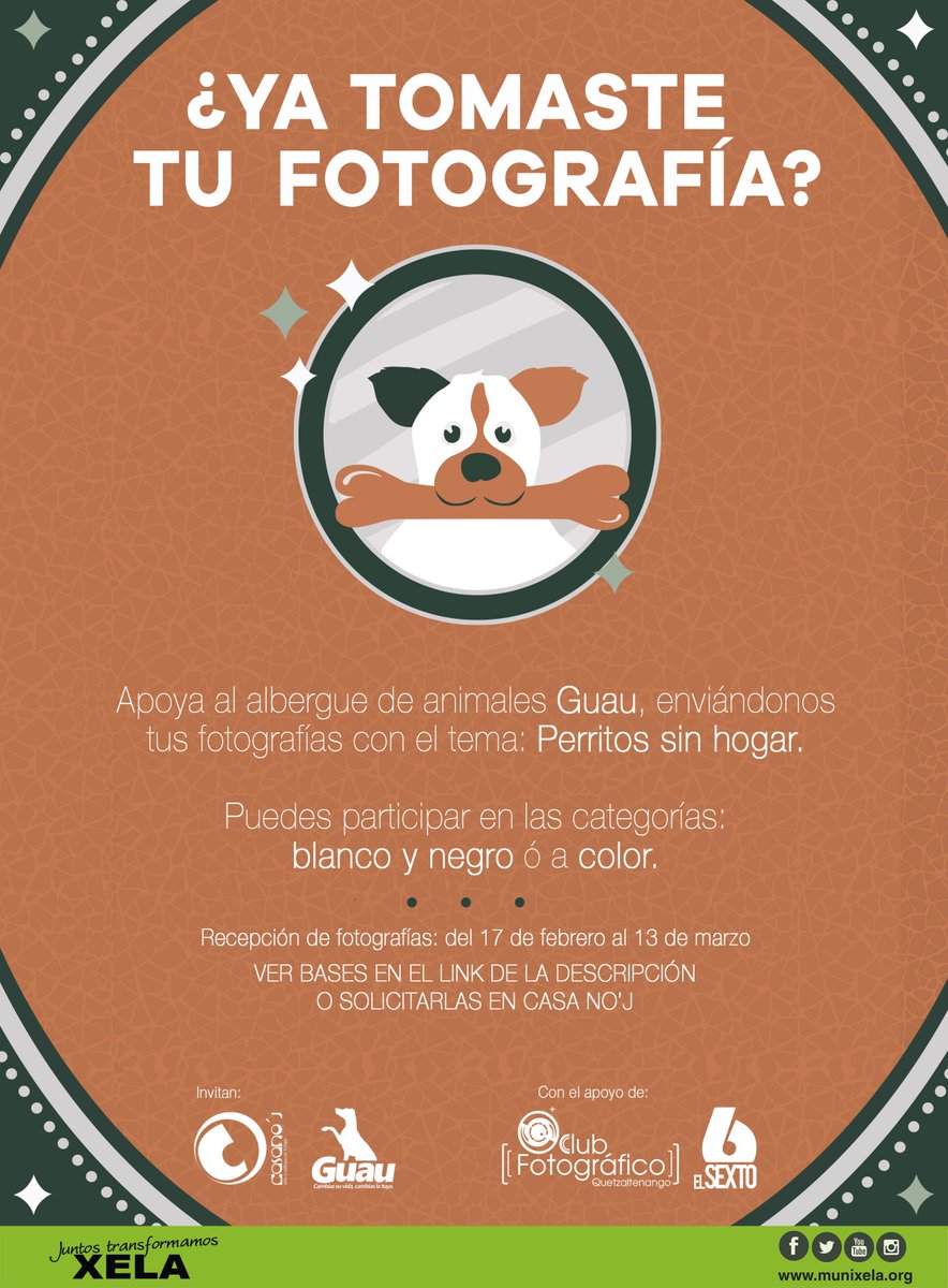 CCcasanoj's tweet photo. Casa No’j y el Albergue para Perros Guau convocan al Certamen Fotográfico “Perritos sin hogar”.

Descargar bases en: https://t.co/KdCZRm9vND https://t.co/6IkkN2AnI1