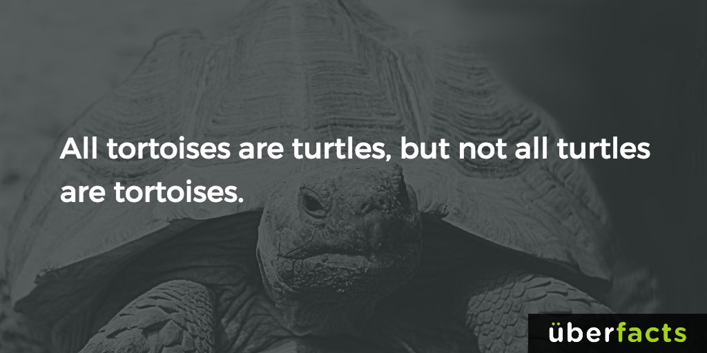 UberFacts's tweet photo. I think my brain just melted. https://t.co/oLEVNRW6oU