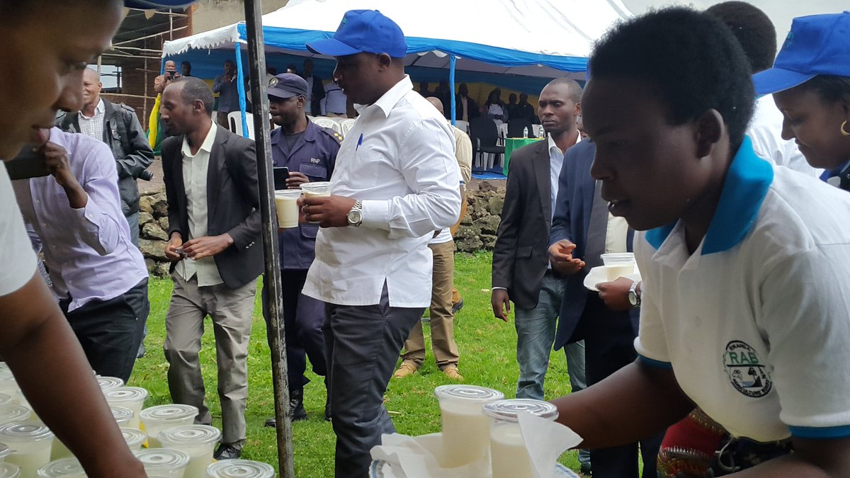 #Girinkaweek launch @Northernprovince, Kinigi sector <a href="/RwandaAgri/">Ministry of Agriculture & Animal Resources |Rwanda</a> <a href="/MarkBagabe/">Mark Bagabe</a> <a href="/k_chris2005/">KanyandekweChristine</a> <a href="/Izamuhaye/">Izamuhaye J Claude</a>