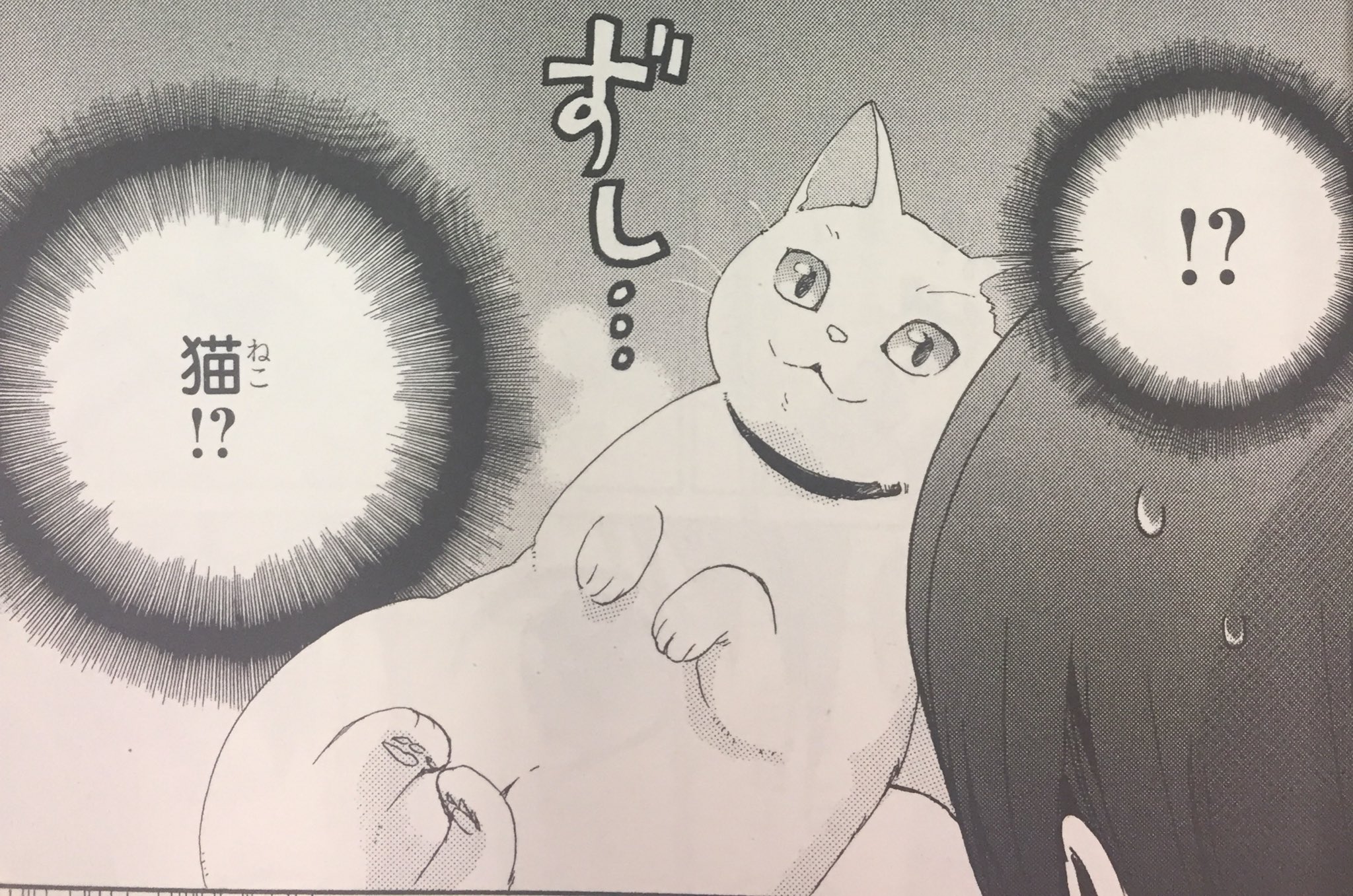 デザート編集部 今日はにゃんの日 運命の人だったはずの人が猫バカぼっちに変わってた 愛猫しめじちゃんも大歓迎の 桑佳あさ さん はつ恋 ふたたび 1巻の続きから読めるデザート4月号 デザート編集部 今日はにゃんの日 運命の人だったはずの人が猫バカぼっちに変わってた 愛猫しめじちゃんも大歓迎の 桑佳あさ さん はつ恋 ふたたび 1巻の続きから読めるデザート4月号