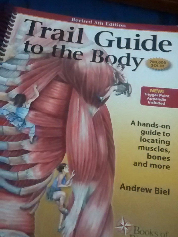 PT_Clinic's tweet photo. Self-study is important. To move forward, we need to take steps.
#study #anatomy #learning #selfstudy #trailguidetothebody #muscles #bones https://t.co/rqeBRPbxoE