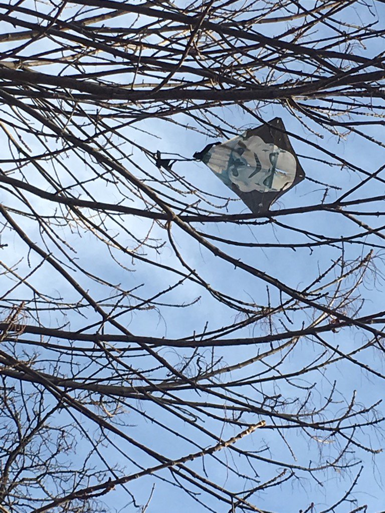 AcciInci's tweet photo. #foundobjects #incidentals #lostandfound #lostobject #kite #imperialstormtrooper #StarWars https://t.co/gKlLP5r9xs