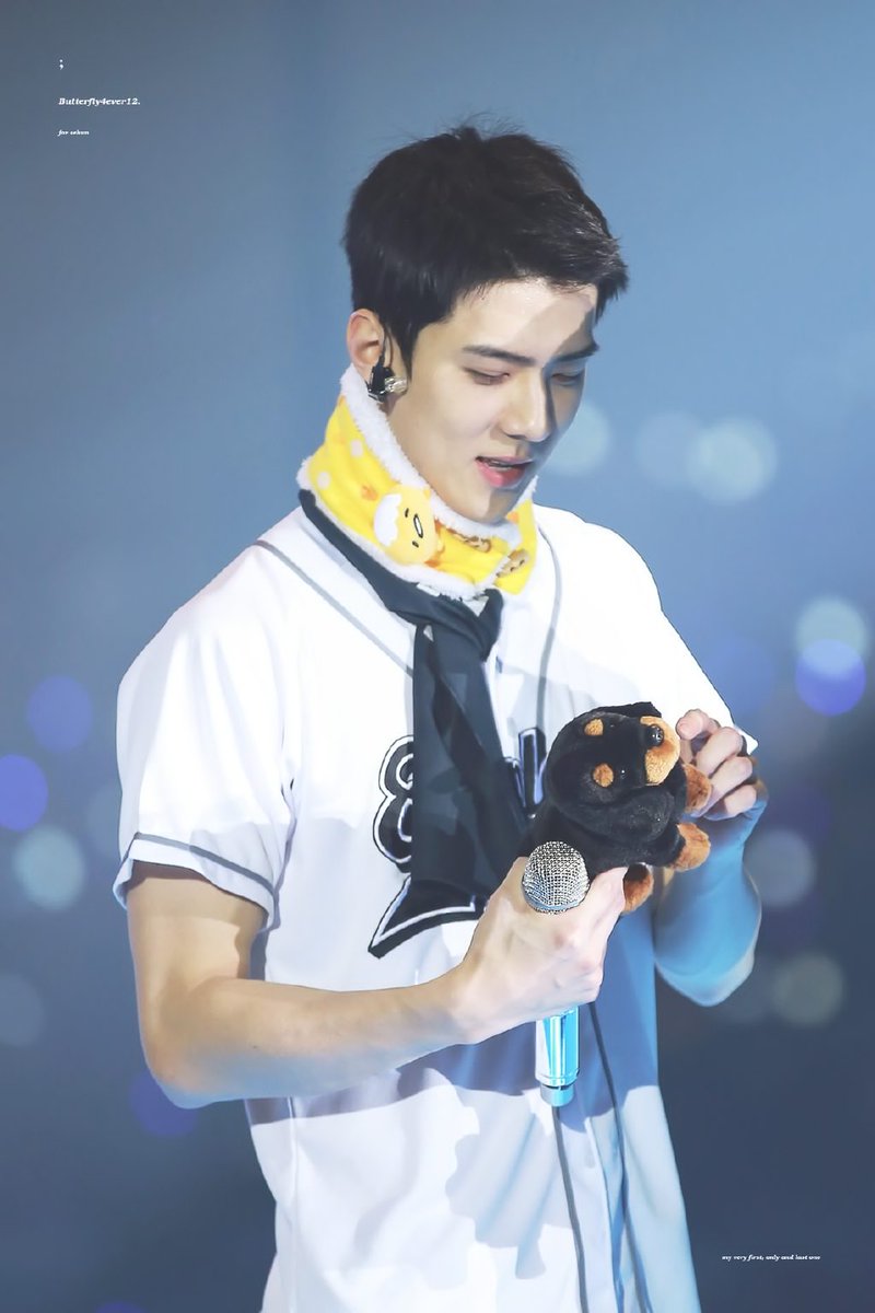rogmeos's tweet photo. @Exowshun nih sehun cute https://t.co/mcgofs97h0